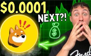 Bonk Price Prediction – Can Solana’s Top Meme Coin Reach $0.0001?