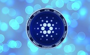 cardano price