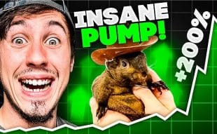 Peanut the Squirrel Price Prediction - Is $PNUT the Next Dogecoin?