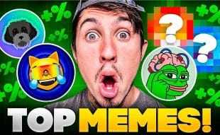 Top 5 Meme Coins to Invest In Now as Bitcoin Reaches New Highs