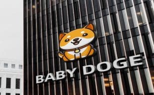 Baby Doge Coin price