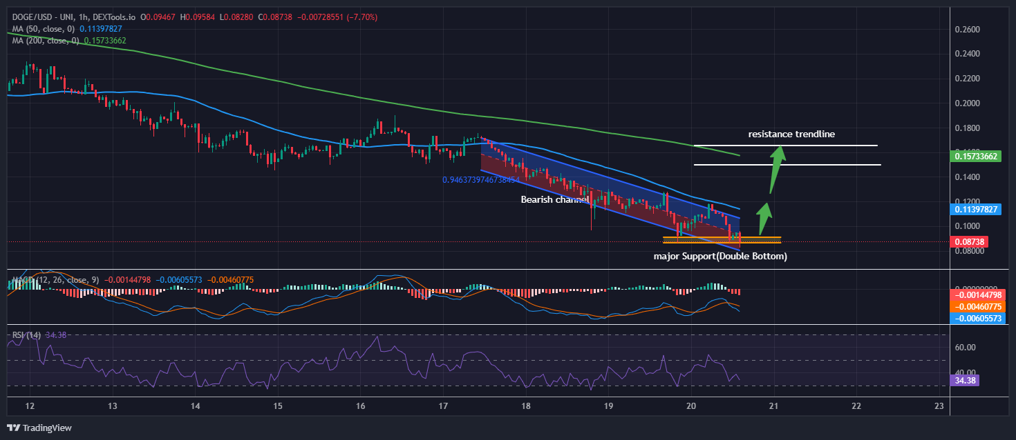 Division Of Authorities Effectivity Value Prediction: DOGE Dives 17% As This ''Folks’s Meme Coin'' Heads For M In Presale