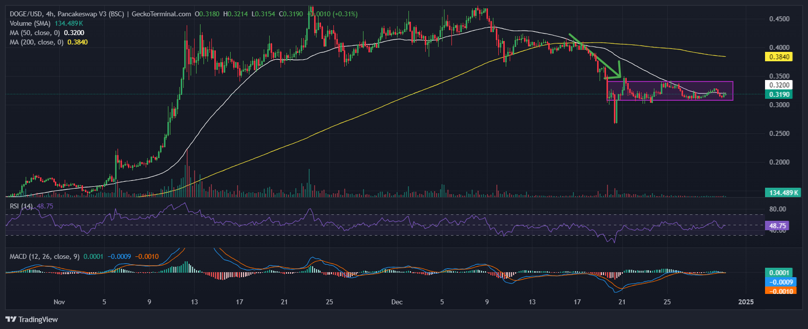 Dogecoin Price Chart Analysis Source: GeckoTerminal