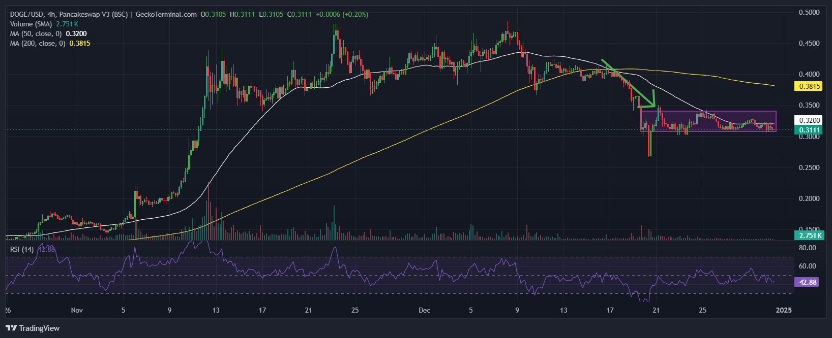 Dogecoin Price Chart Analysis Source: GeckoTerminal