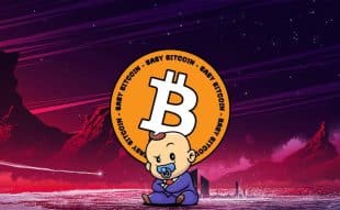 Is It Too Late To Buy Baby BitCoin? BABYBTC Price Soars 108% As This Meme Coin Staking ICO Surges Past .6 Million