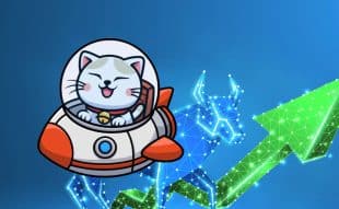 Baby Shiro Neko Price Prediction: BABYSHIRO Surges 28% As A Whale Buys 0K Of This Cat-Themed Rival Amid Coinbase Listing Speculation