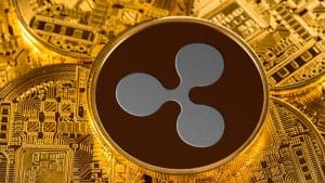 XRP Price Prediction: After Ripple CEO Brad Garlinghouse Interview On CBS’s 60 Minutes, Traders Turn To This Crypto Wallet For 1000X Gains