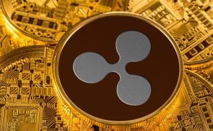 XRP Price Prediction: After Ripple CEO Brad Garlinghouse Interview On CBS’s 60 Minutes, Traders Turn To This Crypto Wallet For 1000X Gains