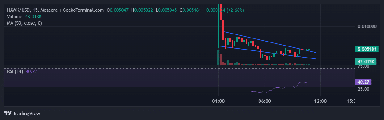 Hawk Tuah Price Chart Analysis Source: GeckoTerminal