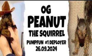 PEANUT