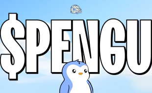 PENGU (1)