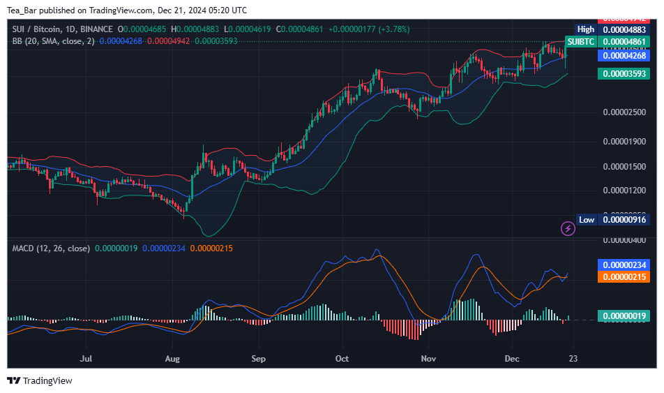 Sui Price Prediction for Today, December 21 – SUI Technical Analysis