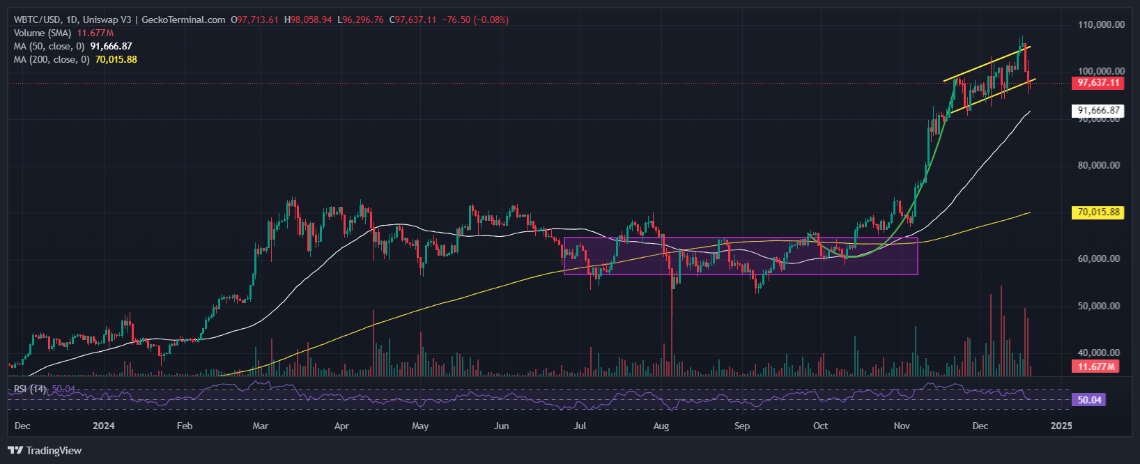 Bitcoin Price Chart Analysis Source: GeckoTerminal