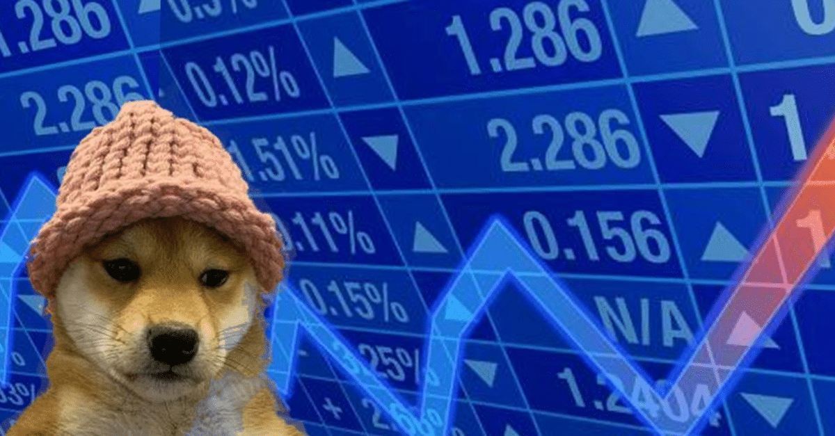 Trending Meme Coins to Buy Now, December 12 — Notcoin, dogwifhat, Bonk