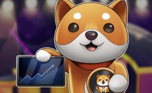 Baby Doge Coin Price