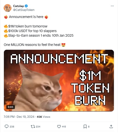 Catslap $1 Million Token Burn