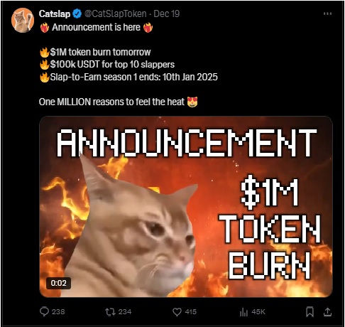 Catslap $1 Million Token Burn