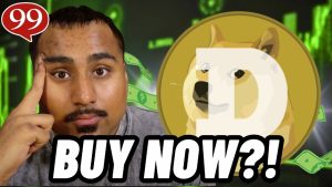 Dogecoin Faces Decline as Bitcoin Falls Below $100K – Should Investors Shift Focus to WEPE Presale?