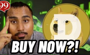 Dogecoin Faces Decline as Bitcoin Falls Below $100K – Should Investors Shift Focus to WEPE Presale?