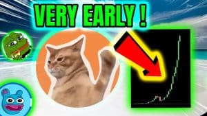 How Catslap Outperformed Expectations and Gave Investors a 4x Return