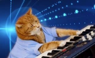 Keyboard Cat price