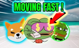 Wall Street Pepe Breaks Records as the Fastest-Selling ICO