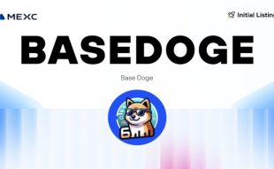 BASEDOGE