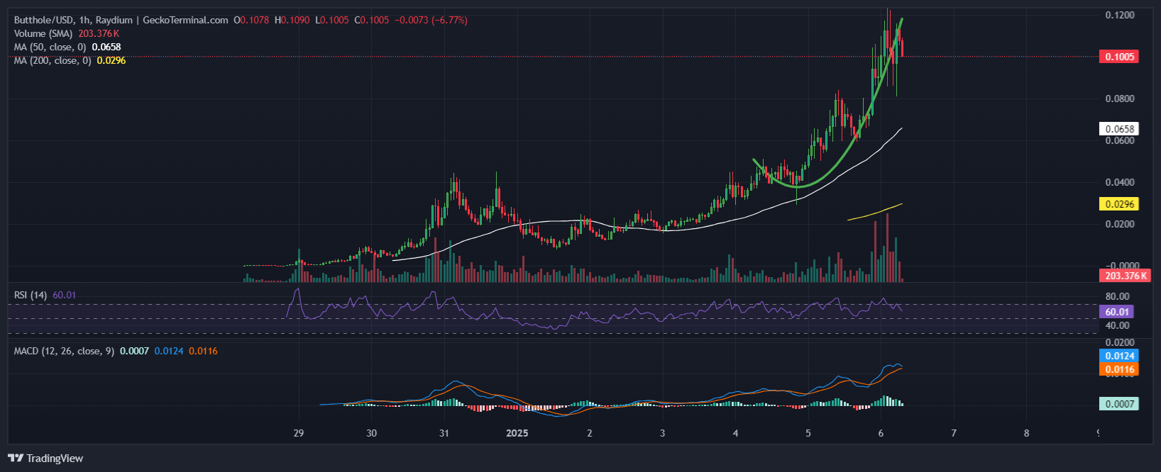 Butthole Coin Price Chart Analysis Source: GeckoTerminal