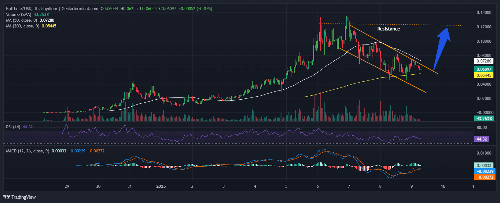 Butthole Coin Price Chart Analysis Source: GeckoTerminal