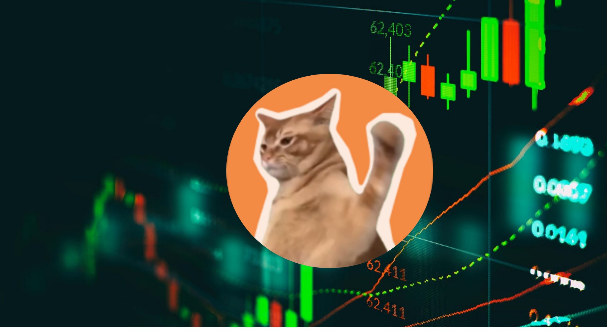 Catslap Price