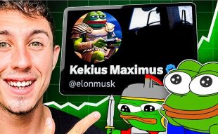 Elon Musk’s Influence Drives Surge in Frog-Themed Coins and $39 Million Presale for Wall Street Pepe