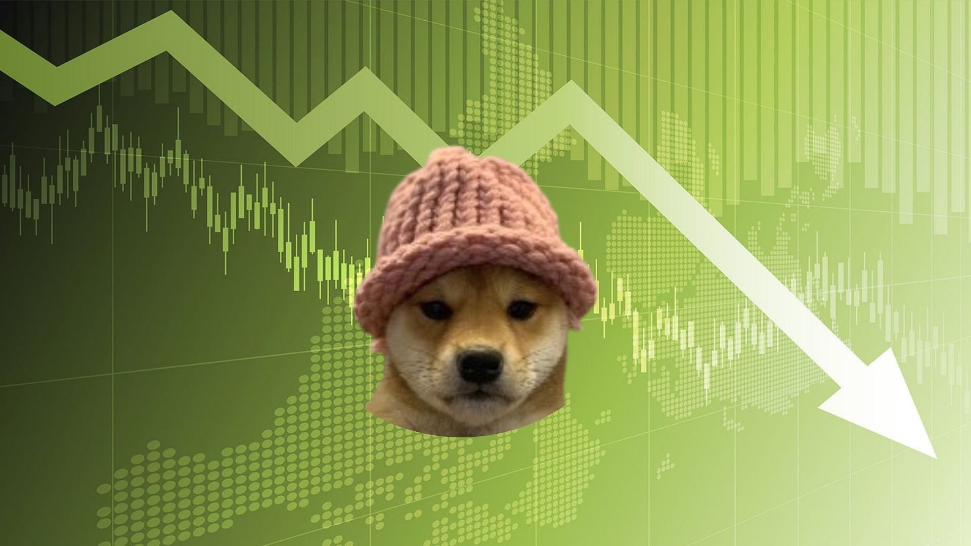 Dogwifhat Price Prediction: WIF Drops 3% As This New Pepe Derivative ICO Blasts Past $42 Million