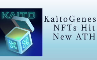 Kaito NFTs Hit New ATH