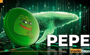 Pepe_optimized