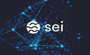 SEI