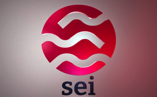 SEI