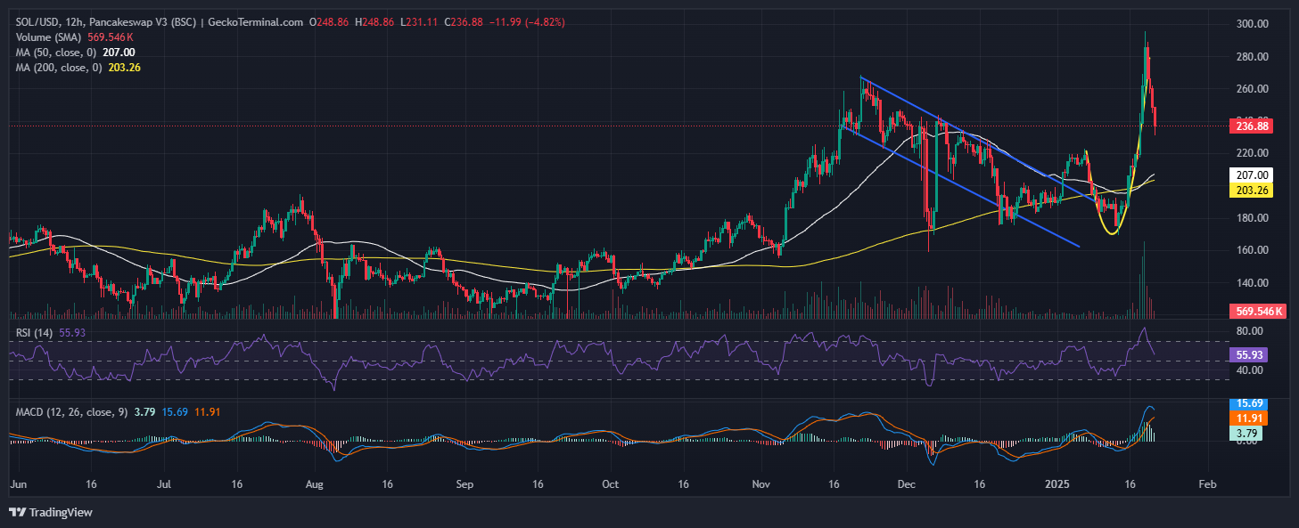 Solana Price Chart Analysis Source: GeckoTerminal