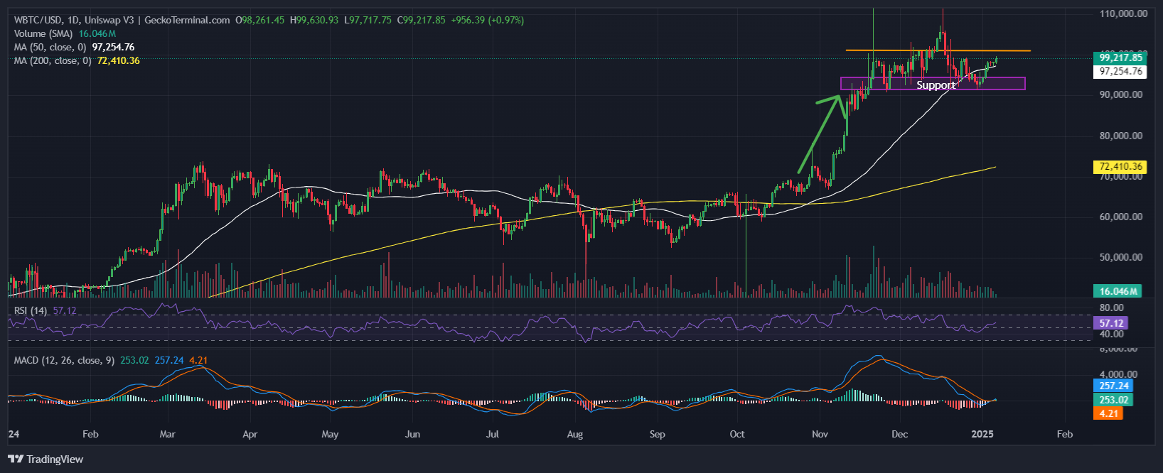 Bitcoin Price Chart Analysis Source: GeckoTerminal