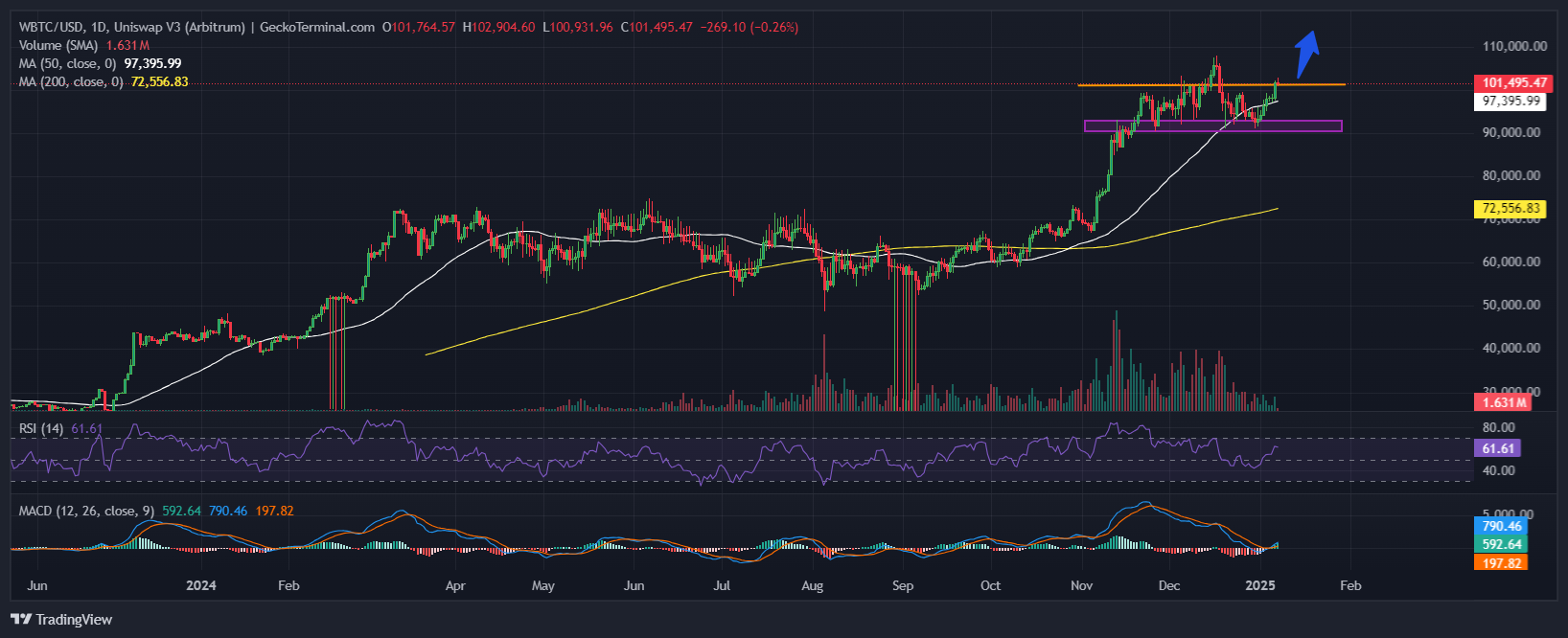 Bitcoin Price Chart Analysis Source: GeckoTerminal