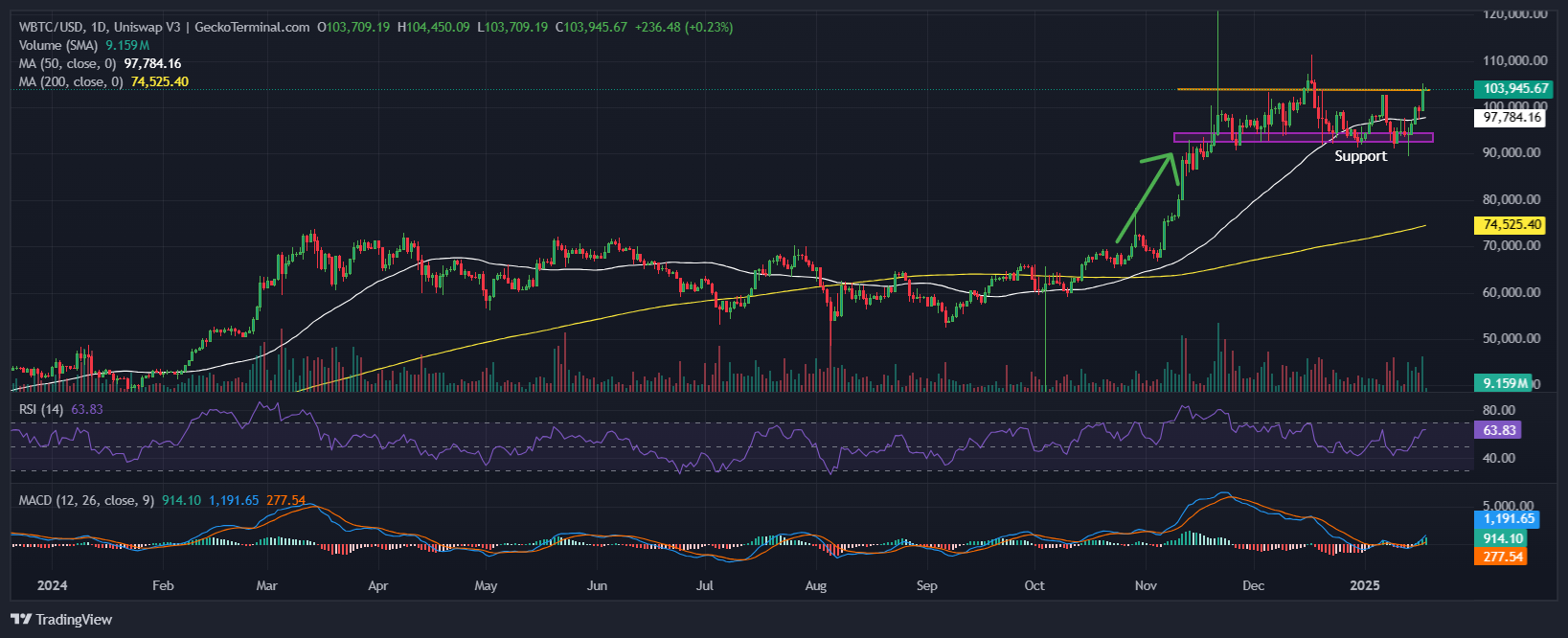 Bitcoin Price Chart Analysis Source: GeckoTerminal