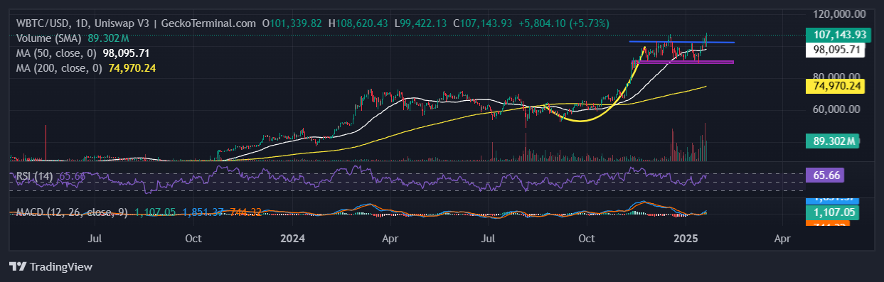 Bitcoin Price Chart Analysis Source: GeckoTerminal