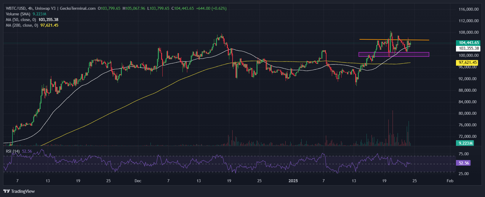 Bitcoin Price Chart Analysis Source: GeckoTerminal