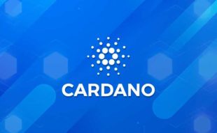 cardano price