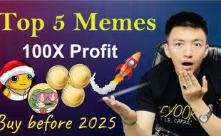 Crypto Analyst Predicts Massive Gains for 5 Meme Coins in Early 2025