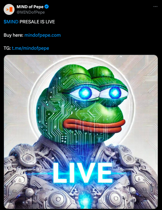 mind_of_pepe