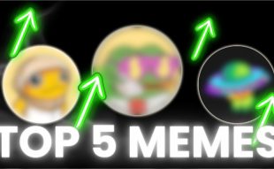 Top 5 Meme Coins For 10x Returns