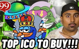 Top 4 ICO Projects to Invest in During Crypto Market Dip - $WEPE, $SOLX, $FLOCK, and $MEMEX