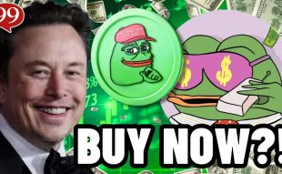 Wall Street Pepe Nears $45 Million in Presale as Elon Musk Fuels Meme Coin Hype