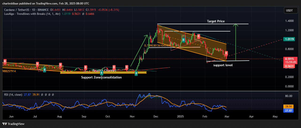 Cardano price