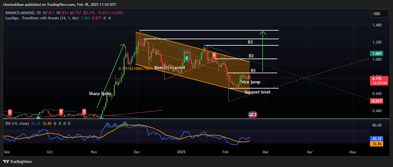 Cardano price